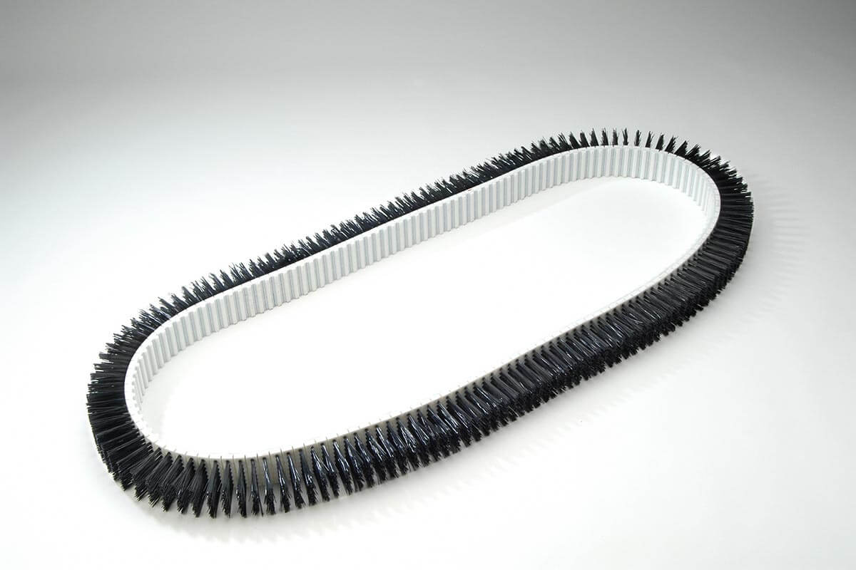 Brush belt toothed industrial and technical - KOTI