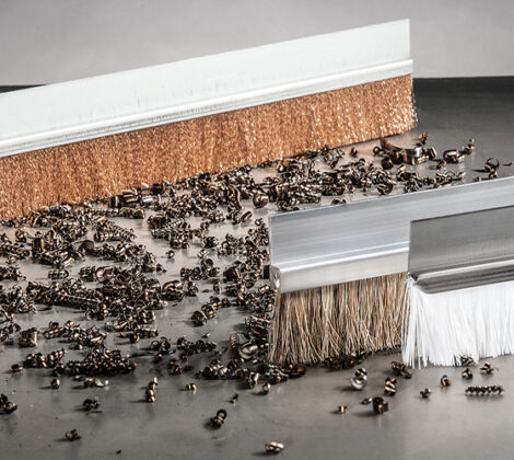 Brosse strip