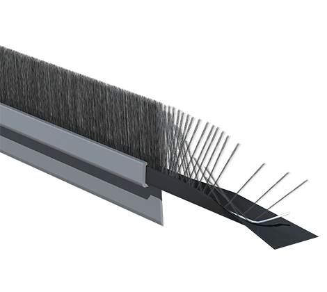 brosse technique brosse strips